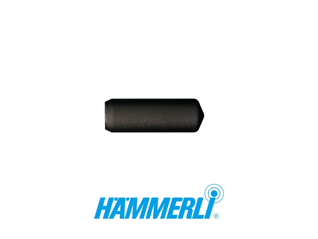 Hammerli PROLINE Subcompact alu. Compressed Air cylinder, 200 Bar, Black (without pressure gauge) (Suits AP20)